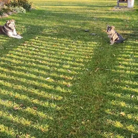 Деревянный коттедж Zielone Wzgorze